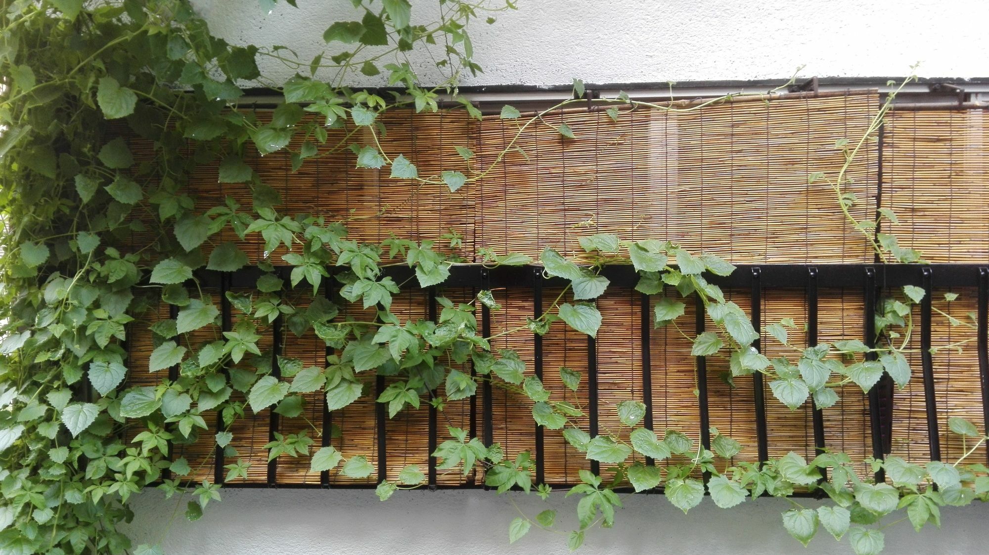 Serendipity At Kyōto Esterno foto